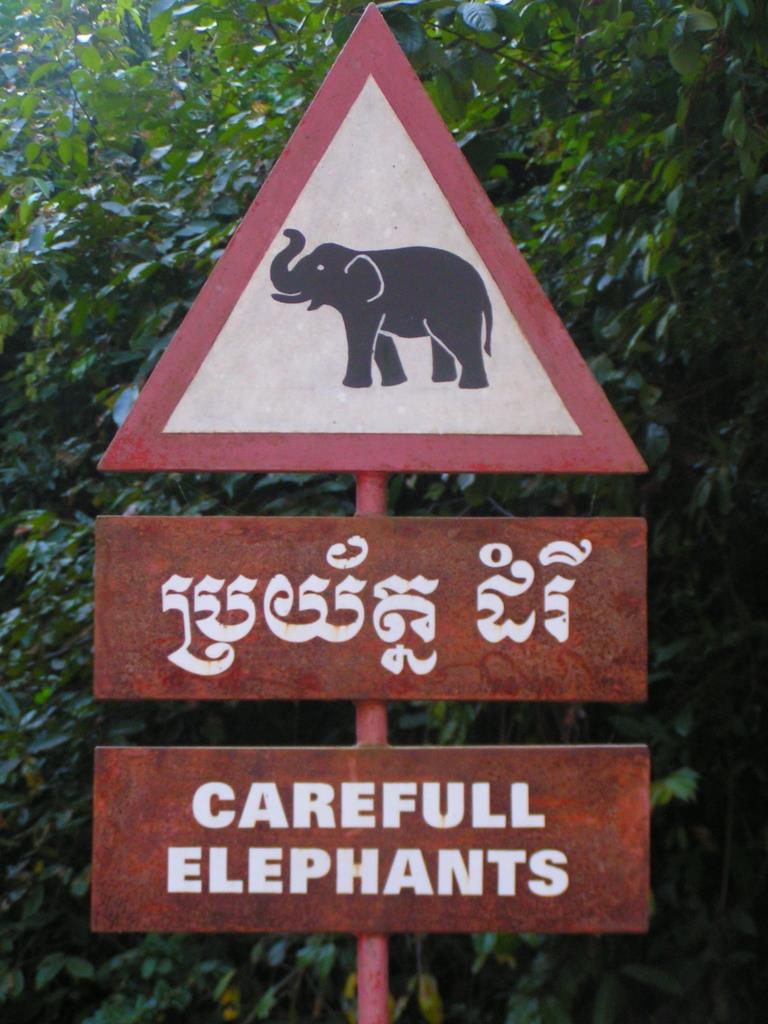 Kambodscha - Angkor Wat - 2004
